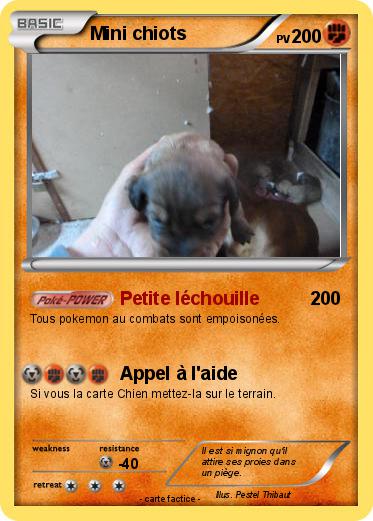 Pokemon Mini chiots