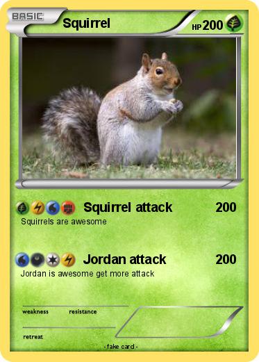 Pokemon Squirrel