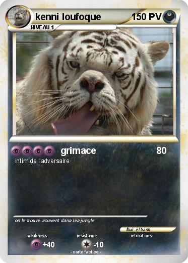 Pokemon kenni loufoque