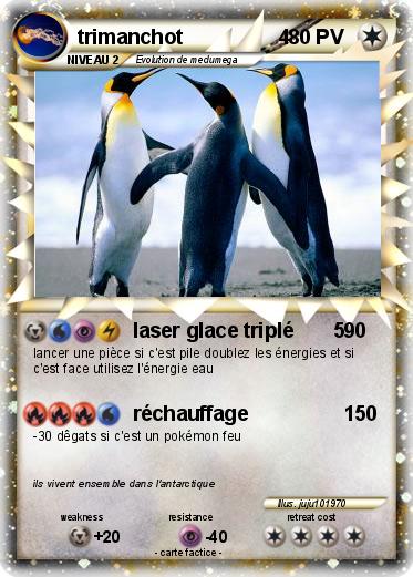 Pokemon trimanchot                 4
