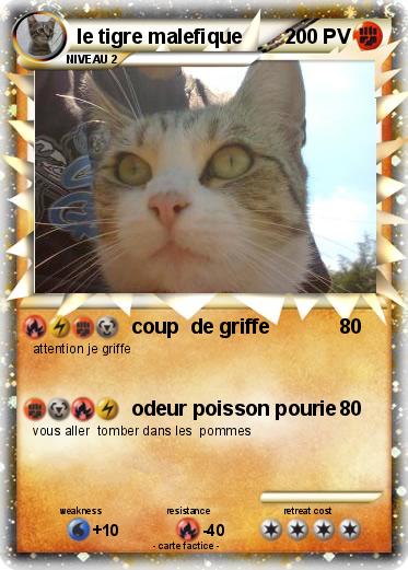 Pokemon le tigre malefique