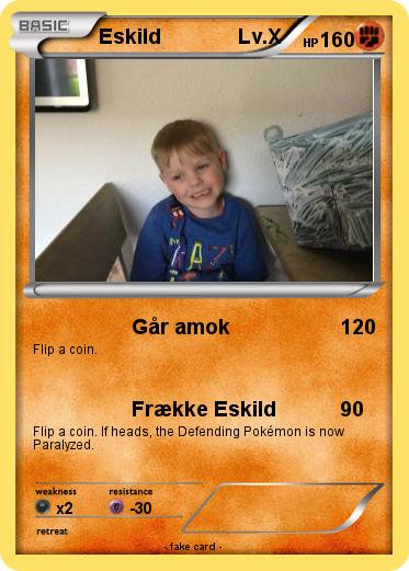 Pokemon Eskild              Lv.X