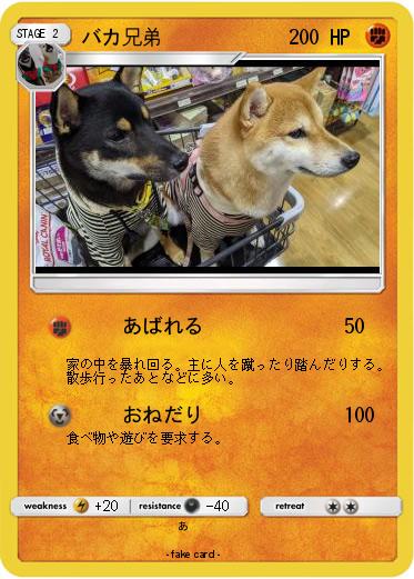 Pokemon バカ兄弟