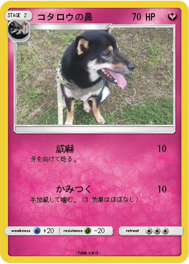 Pokemon コタロウの鼻