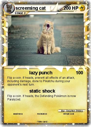 Pokemon screeming cat