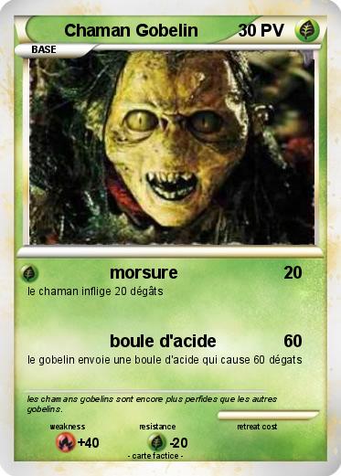Pokemon Chaman Gobelin