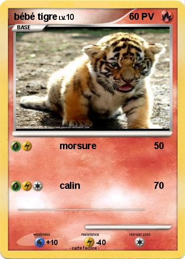 Pokemon bébé tigre