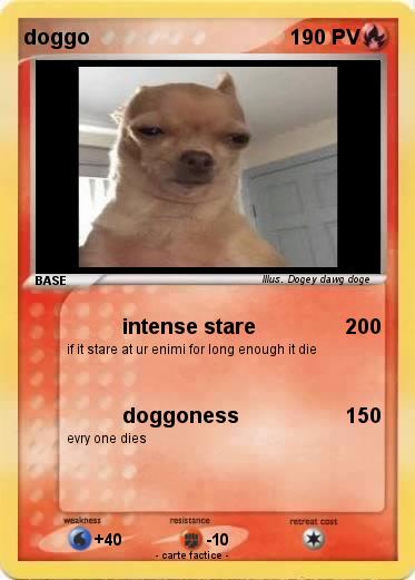 Pokemon doggo