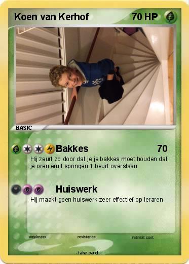 Pokemon Koen van Kerhof