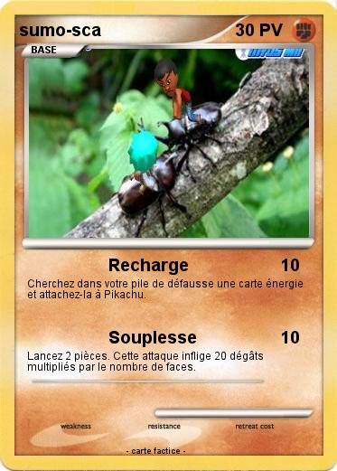 Pokemon sumo-sca