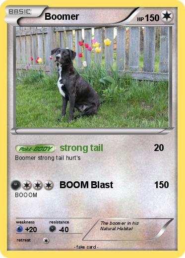 Pokemon Boomer