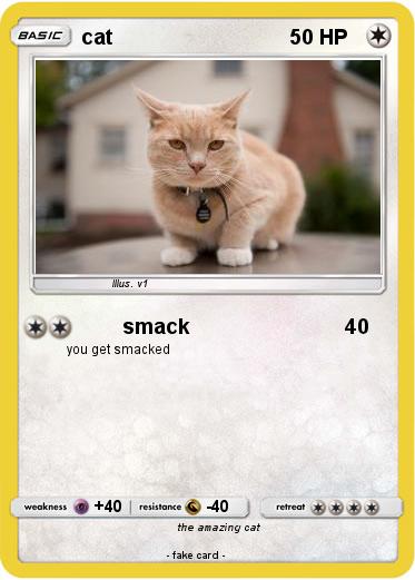 Pokemon cat
