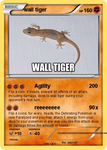 Pokemon wall tiger