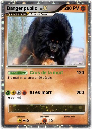 Pokemon Danger public