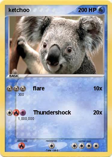 Pokemon ketchoo