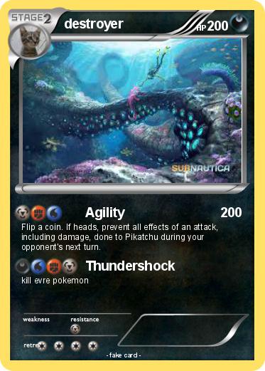 Pokemon destroyer