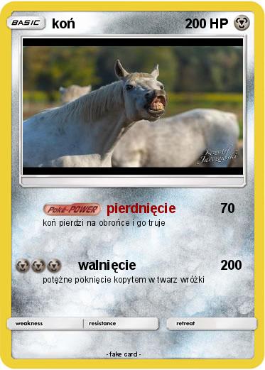 Pokemon koń