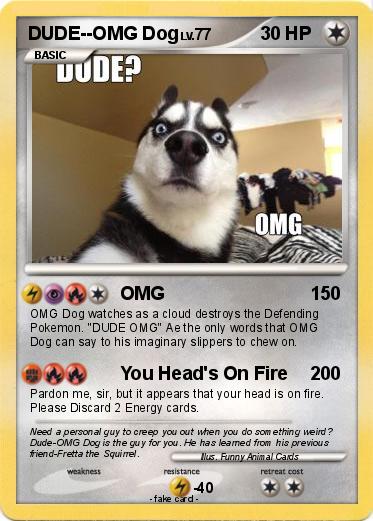 Pokemon DUDE--OMG Dog
