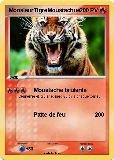 Pokemon MonsieurTigreMoustachue