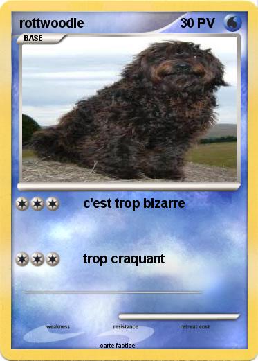 Pokemon rottwoodle