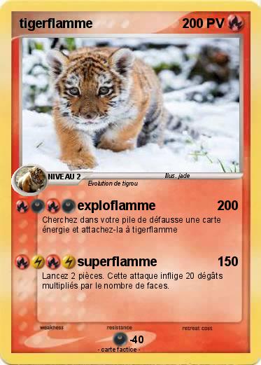 Pokemon tigerflamme