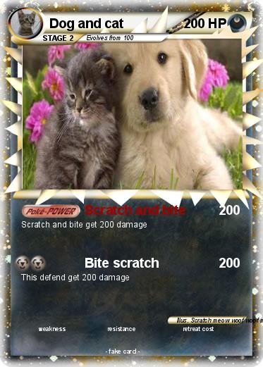 Pokemon Dog and cat