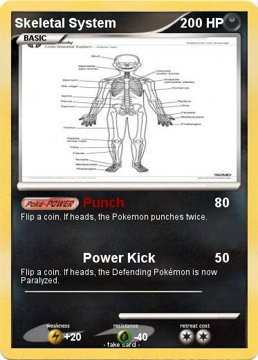 Pokemon Skeletal System