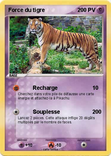 Pokemon Force du tigre