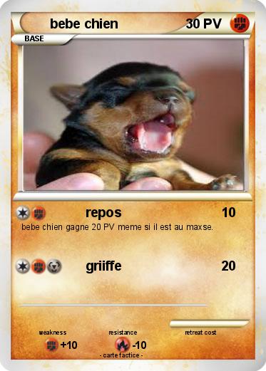 Pokemon bebe chien