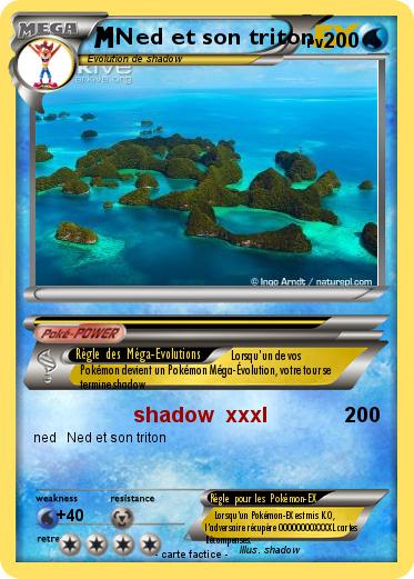 Pokemon Ned et son triton
