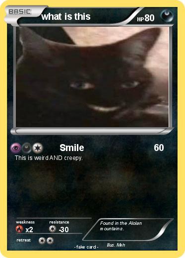 Pokemon what is this