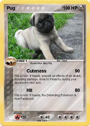 Pokemon Pug