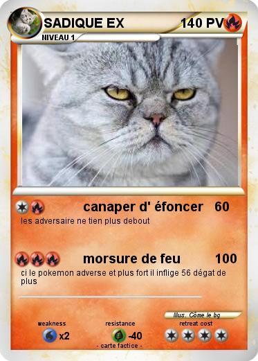 Pokemon SADIQUE EX