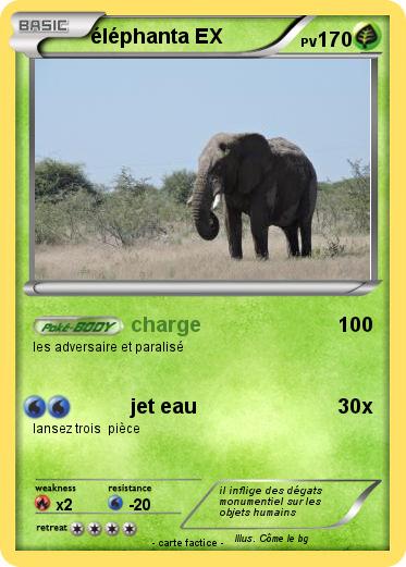 Pokemon éléphanta EX
