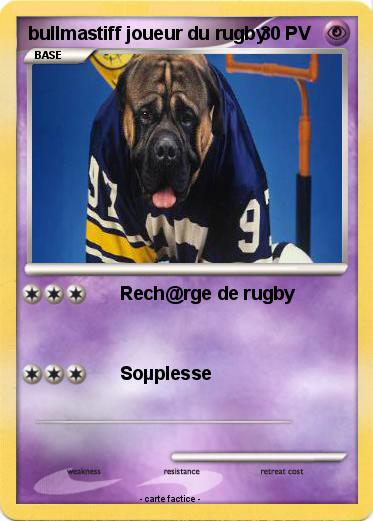 Pokemon bullmastiff joueur du rugby