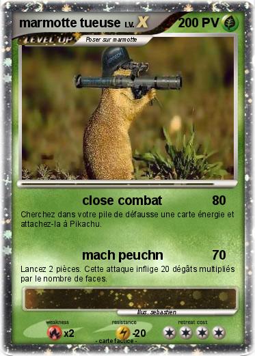 Pokemon marmotte tueuse