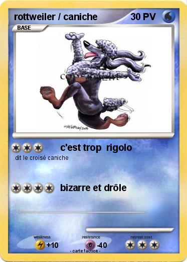 Pokemon rottweiler / caniche