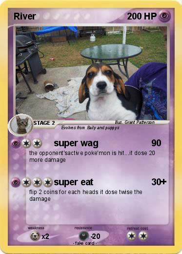 Pokemon River