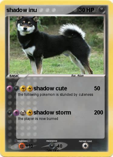 Pokemon shadow inu