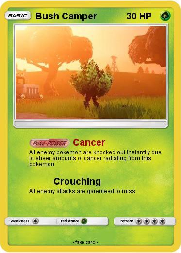 Pokemon Bush Camper