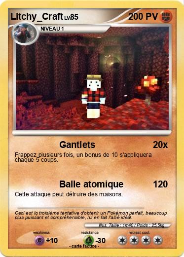 Pokemon Litchy_Craft