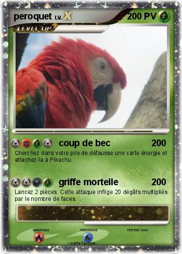 Pokemon peroquet