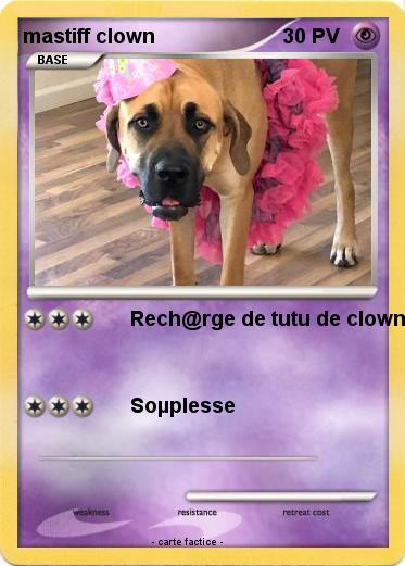 Pokemon mastiff clown