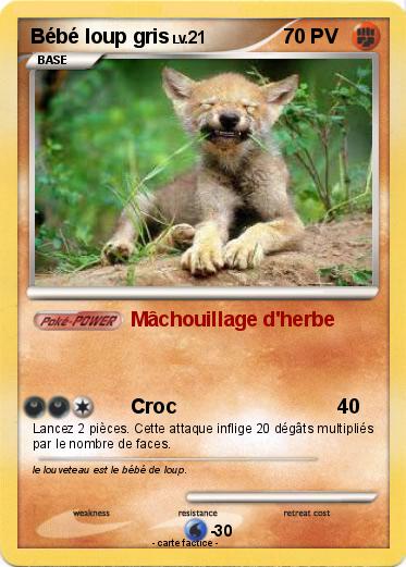 Pokemon Bébé loup gris