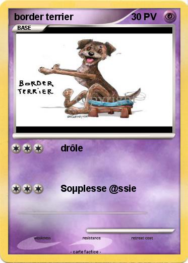 Pokemon border terrier