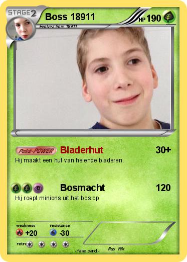 Pokemon Boss 18911