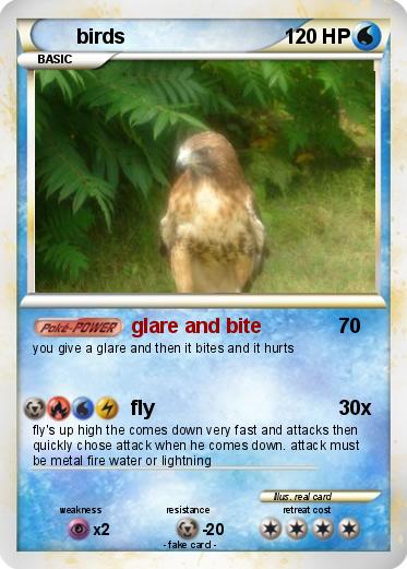 Pokemon birds