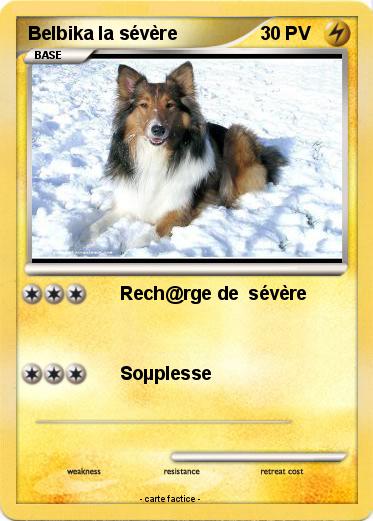 Pokemon Belbika la sévère