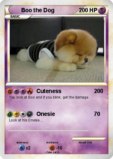 Pokemon Boo the Dog
