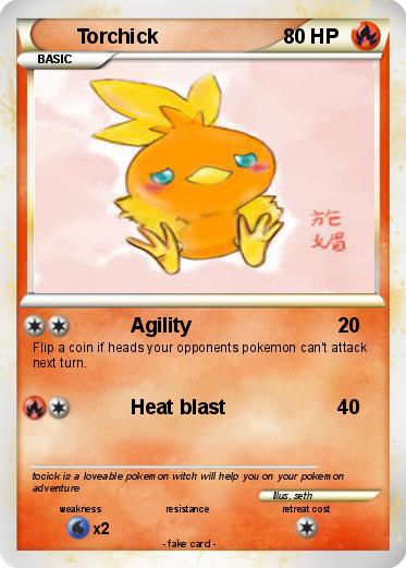 Pokemon Torchick
